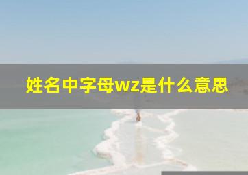 姓名中字母wz是什么意思