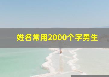 姓名常用2000个字男生