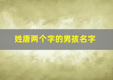 姓唐两个字的男孩名字