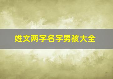 姓文两字名字男孩大全