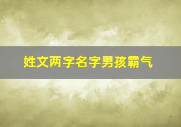 姓文两字名字男孩霸气