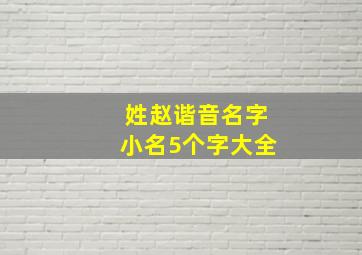 姓赵谐音名字小名5个字大全