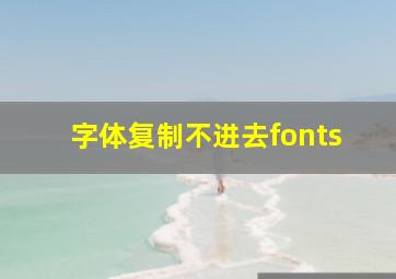 字体复制不进去fonts