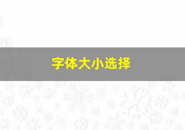 字体大小选择