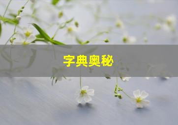 字典奥秘