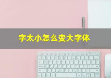 字太小怎么变大字体