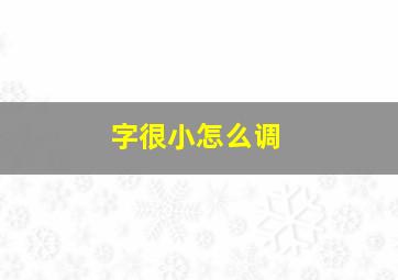 字很小怎么调