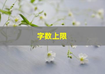 字数上限