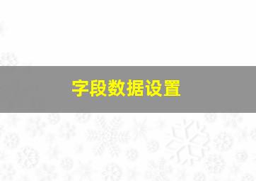 字段数据设置