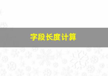 字段长度计算