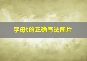 字母t的正确写法图片