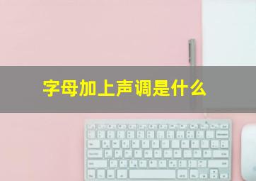 字母加上声调是什么