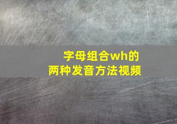 字母组合wh的两种发音方法视频