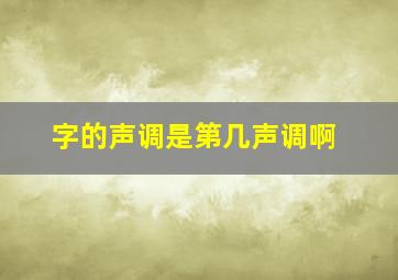 字的声调是第几声调啊