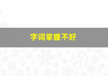 字词掌握不好