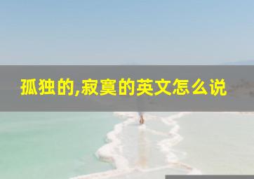 孤独的,寂寞的英文怎么说