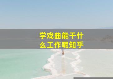 学戏曲能干什么工作呢知乎