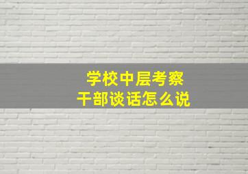 学校中层考察干部谈话怎么说