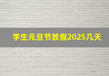 学生元旦节放假2025几天