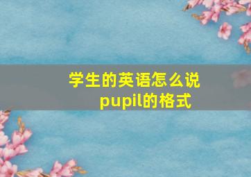 学生的英语怎么说pupil的格式