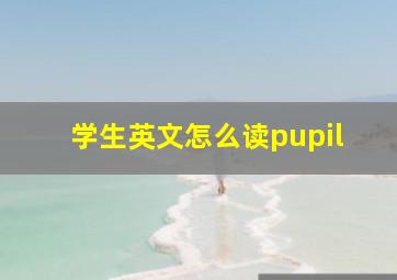 学生英文怎么读pupil