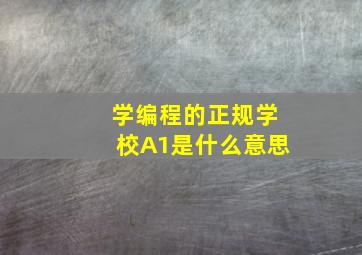 学编程的正规学校A1是什么意思