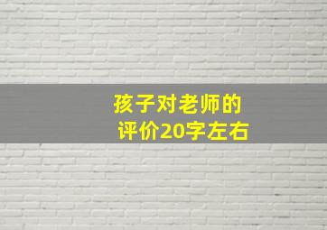 孩子对老师的评价20字左右