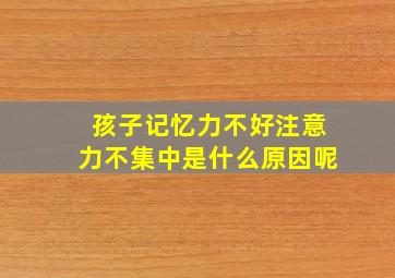 孩子记忆力不好注意力不集中是什么原因呢