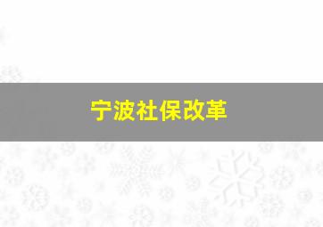 宁波社保改革