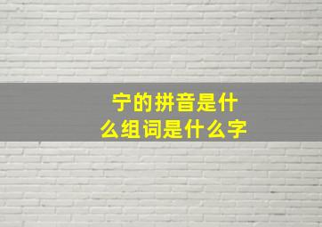 宁的拼音是什么组词是什么字