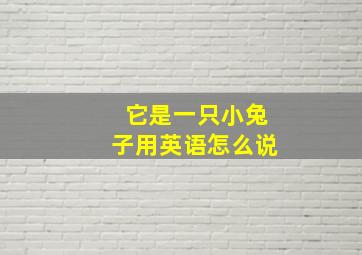 它是一只小兔子用英语怎么说