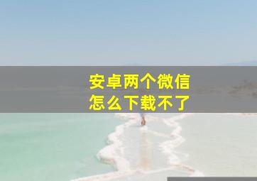 安卓两个微信怎么下载不了