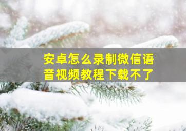 安卓怎么录制微信语音视频教程下载不了