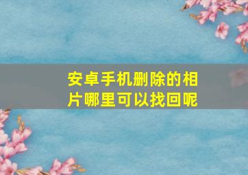 安卓手机删除的相片哪里可以找回呢