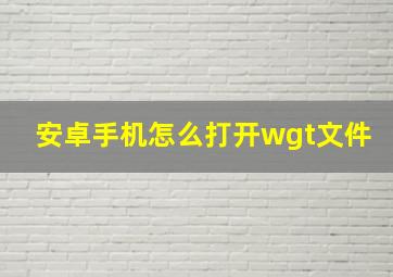 安卓手机怎么打开wgt文件