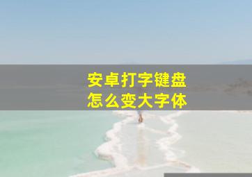 安卓打字键盘怎么变大字体