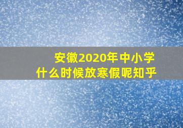 安徽2020年中小学什么时候放寒假呢知乎