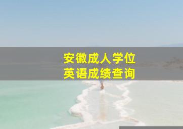 安徽成人学位英语成绩查询