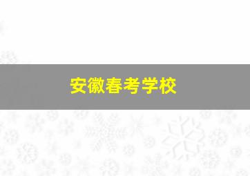 安徽春考学校