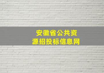 安徽省公共资源招投标信息网