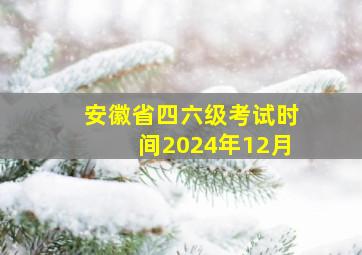 安徽省四六级考试时间2024年12月