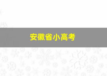 安徽省小高考