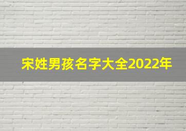 宋姓男孩名字大全2022年