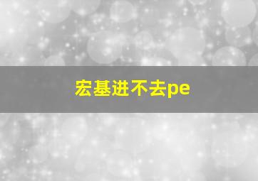 宏基进不去pe