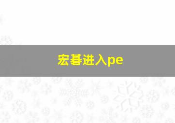 宏碁进入pe