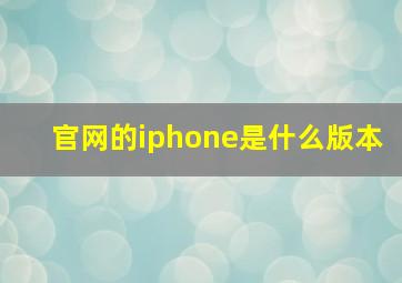 官网的iphone是什么版本