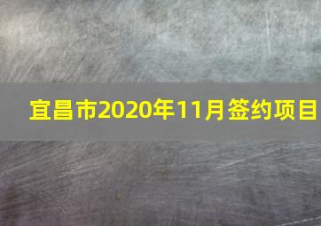 宜昌市2020年11月签约项目