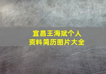 宜昌王海斌个人资料简历图片大全