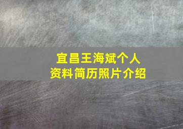 宜昌王海斌个人资料简历照片介绍