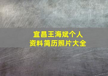 宜昌王海斌个人资料简历照片大全